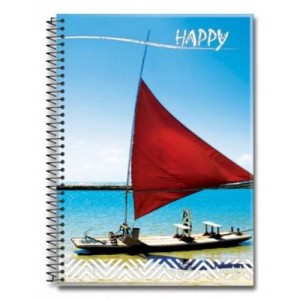 Caderno universitário 01x1  c/1 pç 96f flexível credeal 209233