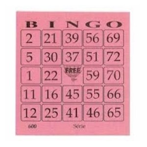 Bloco bingo pequeno rosa 4 pct c/15pçs de 100fls cada 8x10 cod.01 free