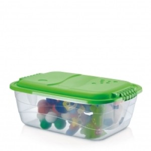 Container orgnaizador 10lts  baixo c/1pç 100 rainha